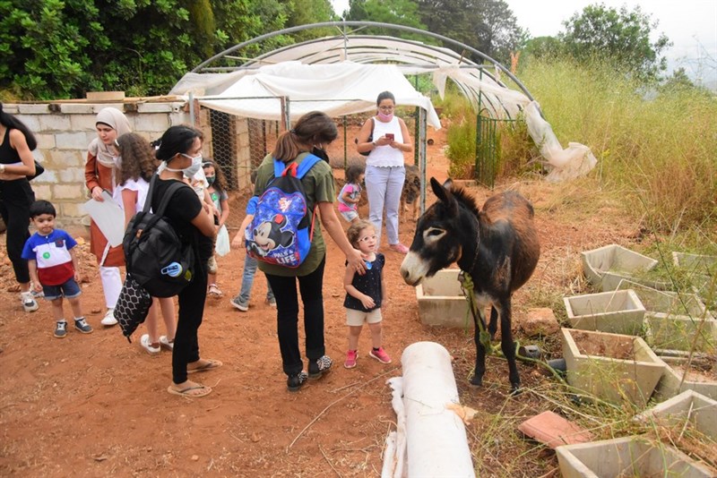 Bouffons at LIV The Farm